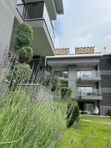 Zahrada ubytování A Suite Side