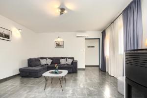 Χώρος καθιστικού στο House Loborika 2227