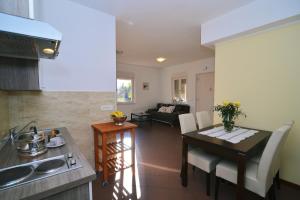 Kuchyň nebo kuchyňský kout v ubytování Grand Pool Apartment Ika-Opatija