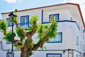a tree in front of a white building with blue windows at Lux Downtown Reguengos in Reguengos de Monsaraz