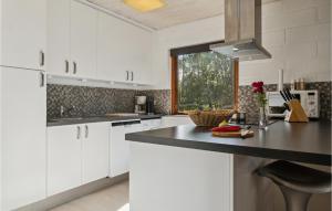 Η κουζίνα ή μικρή κουζίνα στο Gorgeous Home In Ålbæk With Wifi