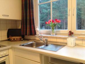 Η κουζίνα ή μικρή κουζίνα στο Haus Bellevue Wohnung 22