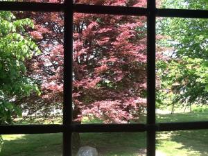 Zahrada ubytování B&B Cascina Baraggione