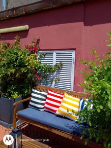 A garden outside I DIOSCURI