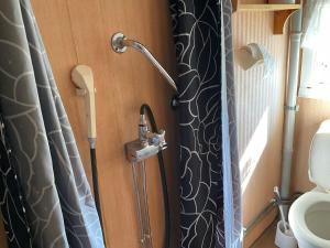 a bathroom with a shower and a toilet at Traditional wooden house at the lake in Jokkmokk +80 photos