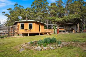 une petite maison en bois dans une cour avec un champ d'herbe dans l'établissement Mavista Cottage, à Adventure Bay