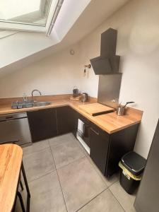 una cocina con fregadero y encimera en Wood loft by Mulhouse, en Mulhouse 7 fotos más