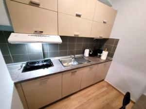 a small kitchen with a sink and a stove at Metropole Vibe by GOLDENLAND in Thessaloniki +12 photos