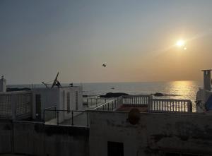 a bird flying over the ocean at sunset at Meryem Appartement in Essaouira