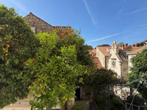 an orange tree in front of a group of houses at Apartment Naval in Dubrovnik