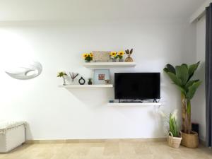 TV a/nebo společenská místnost v ubytování Apartamento en Aloha