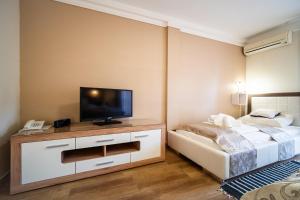 TV a/nebo společenská místnost v ubytování Hotel Zenubia