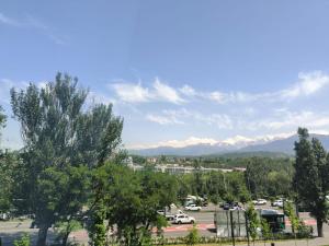 山景或在公寓看到的山景