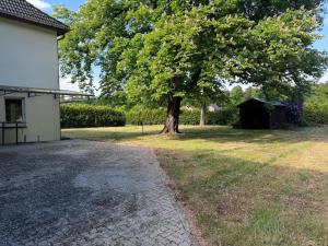 a large tree next to a building and a driveway at Motel auf der Alm in Soltau