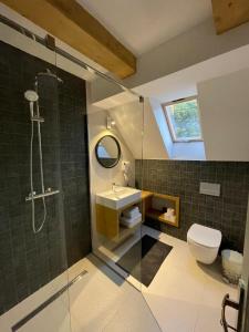 ein Badezimmer mit Dusche, Toilette und Waschbecken in der Unterkunft Pensiunea Carmen 1927 in Moieciu de Jos