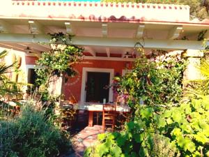 A garden outside La Fattoria Delle Tartarughe