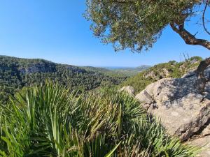 Galeriebild der Unterkunft Authentische Finca mit Pool & Traumblick auf Mallorca in Puigpunyent