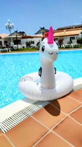 カレタ・デ・フステにあるLa Mayaのプールの前のいかだに乗ったユニコーン