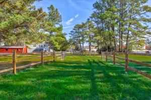 a fence with green grass and trees in a field at Seahorse Shanty in Birch Town