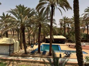 拉希迪耶Hotel Kasbah Fenguig的棕榈树和游泳池度假村
