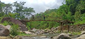 a person standing on a wooden bridge over a river at Angel Homestay in Darjeeling