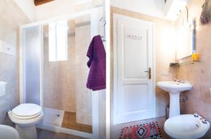 a bathroom with a shower and a toilet and a sink at Villa Lina in Lezzeno
