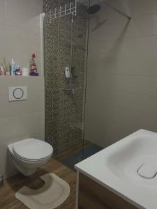 a bathroom with a shower and a toilet and a sink at Be POZITIVE in Sombor