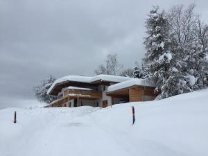 Geelink's Berghütte v zimě