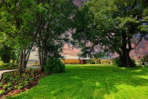 Montichiari AirportBotanica Loft的绿树成荫的公园和绿草成荫的公园