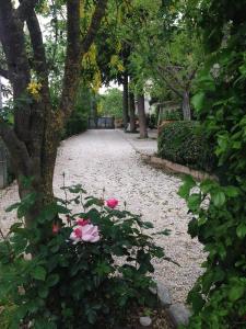 a garden with pink flowers on a gravel road at B&B Il Giovine in Campello sul Clitunno