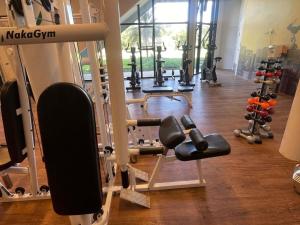 Das Fitnesscenter und/oder die Fitnesseinrichtungen in der Unterkunft ibis Styles Taubate