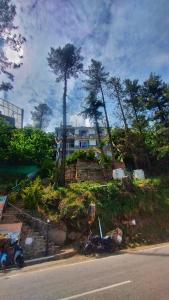 Zahrada ubytování Wonder Hill Inn - Narkanda