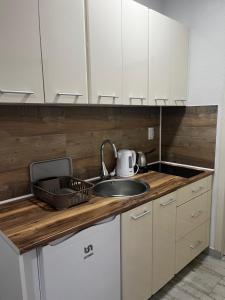 Una cocina o cocineta en Sunflower Apartmani
