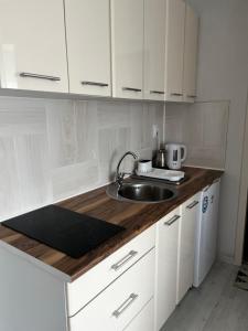 Una cocina o cocineta en Sunflower Apartmani