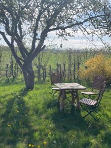 a picnic table and two chairs in a field at Ferienwohnung Storchenwiese im Fränkischen Seenland in Herrieden