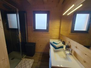 a bathroom with a sink and a shower at Chalet des 4 Vents: Nature et Activités Vosges - FR-1-589-815 in Girmont-Val-dʼAjol +23 photos