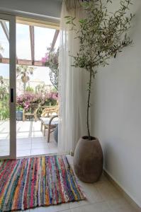 Una planta en un jarrón grande en una habitación. en Elias 1-Bedroom Apartment on the beach with pool, en La Canea