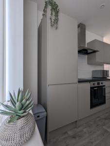 Η κουζίνα ή μικρή κουζίνα στο Island House