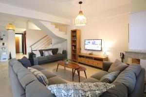 a living room with a couch and a tv at Salt and Sun in Nikiana +20 photos