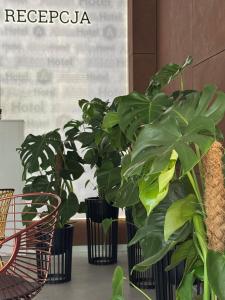 Hol lub recepcja w obiekcie Abton Hotel