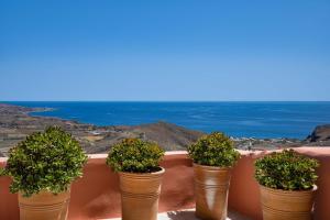 a row of potted plants sitting on a ledge at Amphora Aelia Gem - Akrotiri Seaview Getaway in Akrotiri
