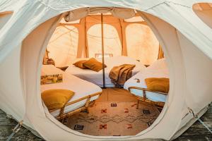 a white tent with three beds in it at Boomkamp treehouses in Oostkamp