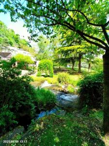 ein Bach in einem Park mit Bäumen und Gras in der Unterkunft Chez les filles Defrance in Royat