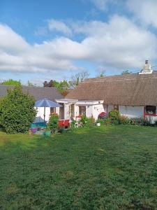Zahrada ubytování Aisling Cottage