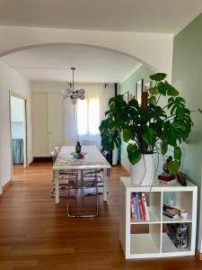 a living room with a table and a potted plant at Casa Mia Sirolo in Sirolo