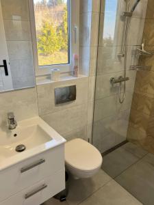 a bathroom with a shower and a toilet and a sink at Przystań BAJKA domek dolny in Wawrowice