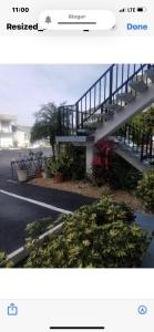 a screenshot of a picture of a staircase with plants at Florida Condo By the Beach in JFK Medical Center Incorporated Heliport