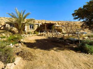 uma casa no meio de um deserto com uma palmeira em בית הסופר- בית בכרם em Mitzpe Ramon