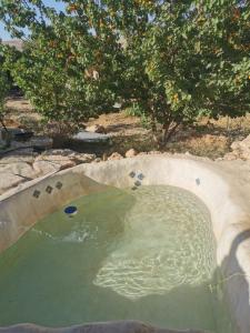 Imagem da galeria de בית הסופר- בית בכרם em Mitzpe Ramon