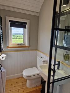 a bathroom with a toilet and a sink and a window at Long Meadow Shepherd Hut - Brecon Beacons, LD3 7TD in Tal-y-llyn